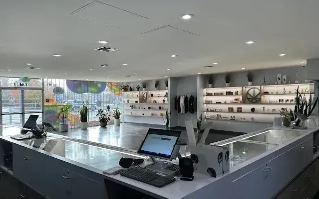 Bright modern interior of Cannavine dispensary with display shelves and counter